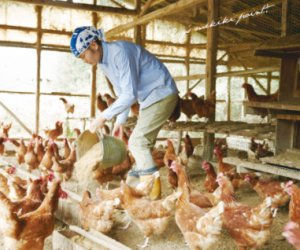 日本特定 - 宮崎県 畜牧養殖