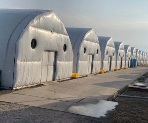 日本特定 - 櫪木縣 農業/蘑菇種植