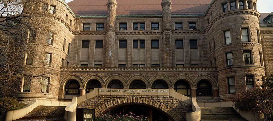 美國自然歷史博物館2