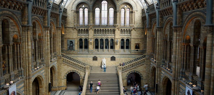 美國自然歷史博物館3