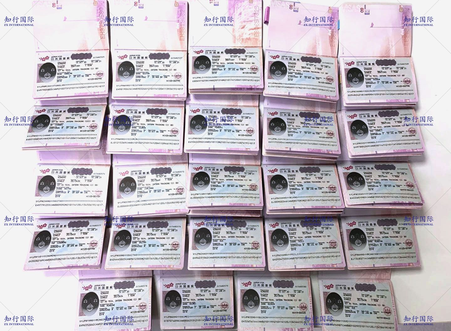 微信圖片_20201019164205