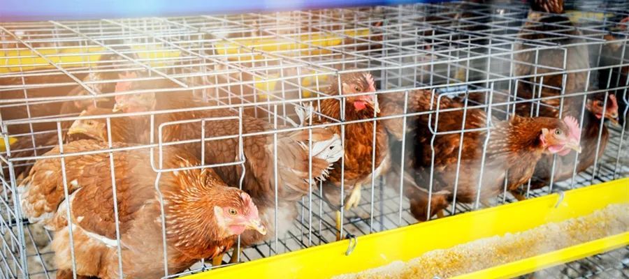 微信圖片_20220531154040