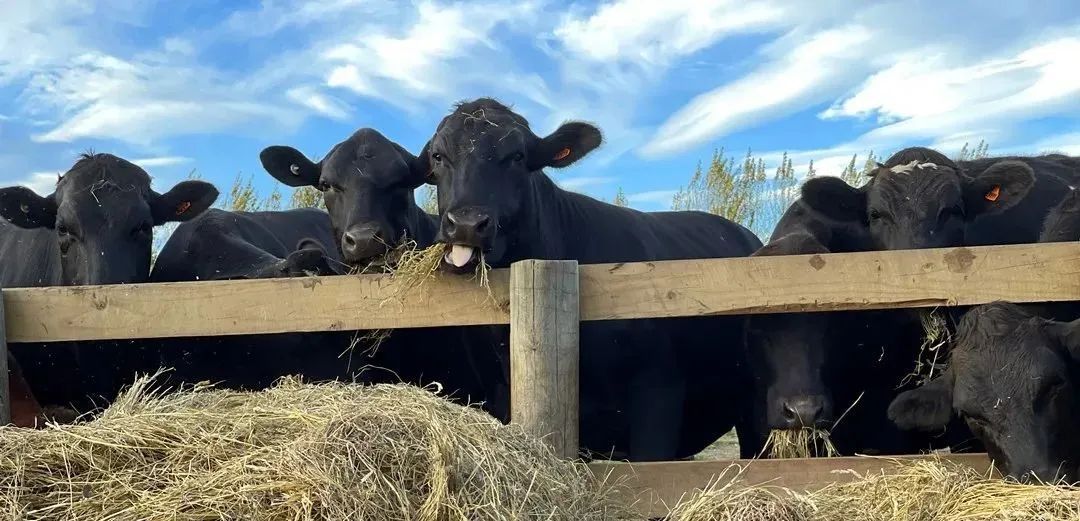 微信圖片_20220531154113