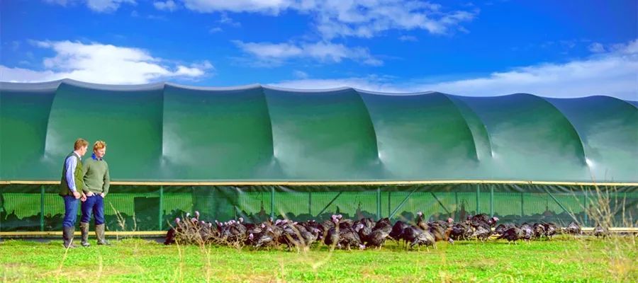 微信圖片_20220531154116