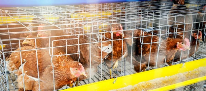 微信截圖_20220608091437